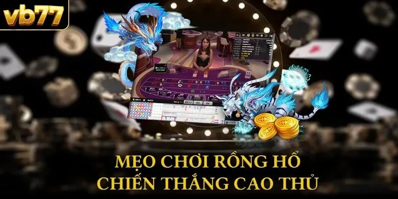 Tổng hợp các mẹo chơi rồng hổ dễ thắng