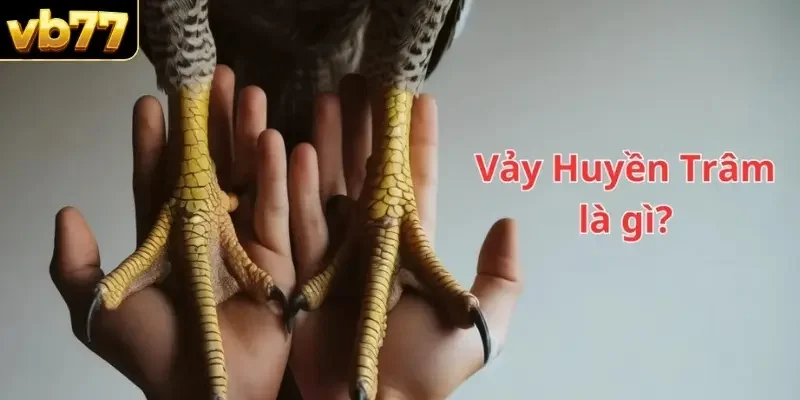 Vảy gà Huyền Trâm là gì