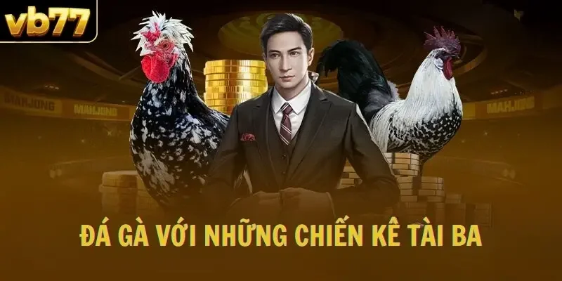 Đá gà với những chiến kê tài ba